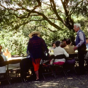 SBBG Members BBQ, 1983, under the oaks
