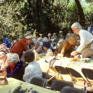 SBBG Members BBQ, 1983, under the oaks
