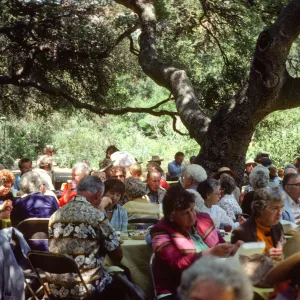 SBBG Members BBQ, 1983, under the oaks