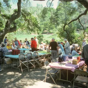 SBBG Members Day, 1978, under the oaks