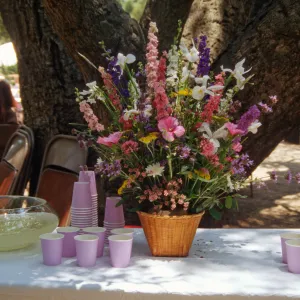 SBBG Members Day Picnic, 1996, floral arrangement and punch bowl