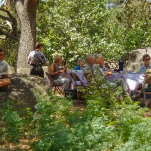 SBBG Members Day Picnic, 1996, under the Meadow Oaks, Mark Stubler