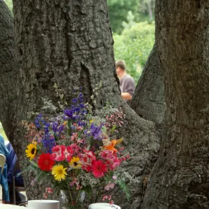SBBG Members Day Picnic, 1998, the cake table