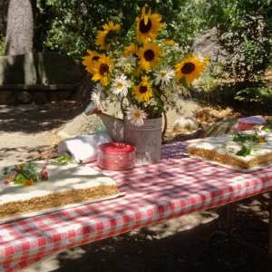 SBBG Members Day Picnic, 1997, the cake table