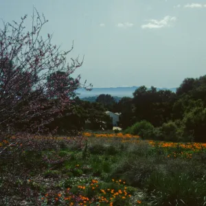 Artist in Garden