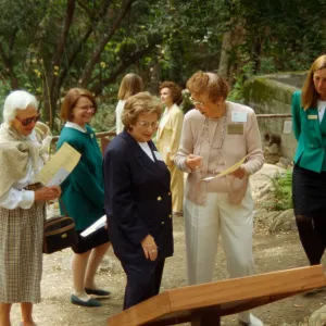 Plant Fiber Art Dedication