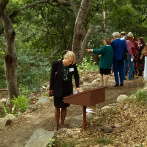 Plant Fiber Art Dedication