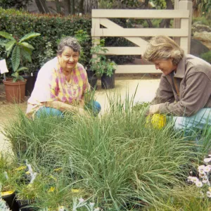Plant Sale