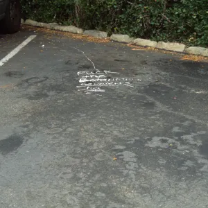 Vandalism