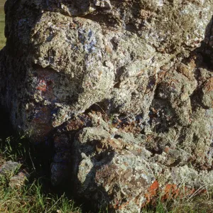 Rock with lichens, Figueroa Mountain