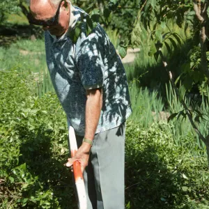 Bruce Van Dyke tree dedication