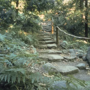 Indian Steps