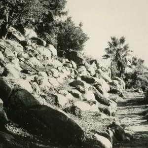 duplicate of SBBG_SL_05816, renovated Campbell Trail 1961