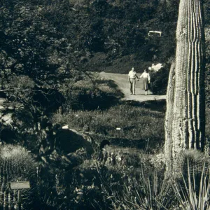 duplicate of SBBG_PR_00304, couple walking toward the Desert Section, SBBG