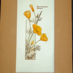 California poppy artwork, original watercolor drawing by Elizabeth Hallowell Saunders