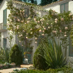 Santa Barbara Gardens of the Past - Osgood Garden