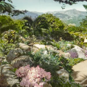 Santa Barbara Gardens of the Past - Far Afield