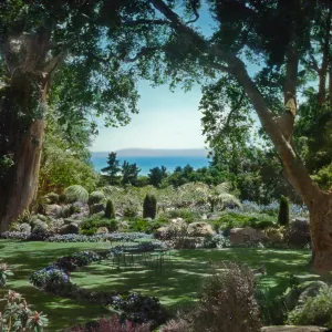 Santa Barbara Gardens of the Past - Far Afield (Coastal Live Oak)