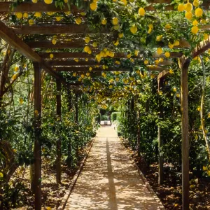 Santa Barbara Gardens of the Past - Lotusland