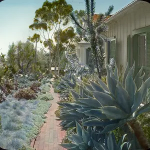 Santa Barbara Gardens of the Past - Fithian Garden (Century Plant)