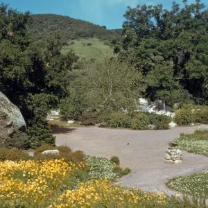 Meadow and Blaksley Boulder