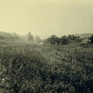 Meadow and boulders