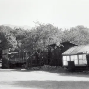 Lath house and green house where the office and green house now stand