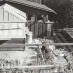 Green house and potting shed 