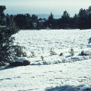Meadow from north; snow, January 1949