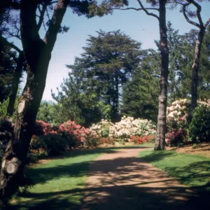 Golden Gate Park