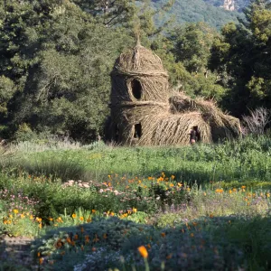 Toad Hall
