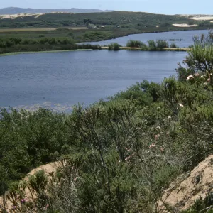 Oso Flaco Lake, vista