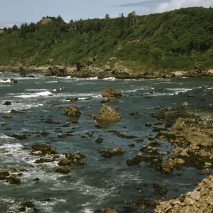 Patricks Point