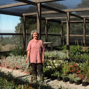 Caroline Cooper, SBBG Plant Propagator
