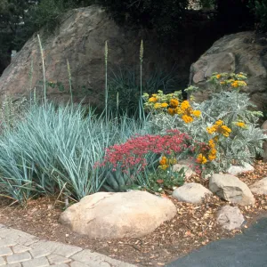 SBBG Entrance Display in bloom