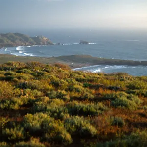 View of southwest end Natividad Island from lighthouse