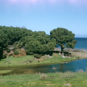 Santa Rosa Island?
