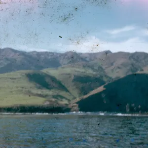 Santa Rosa Island?