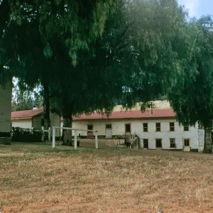 Santa Cruz Island Bunk House