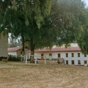 Santa Cruz Island Superindendent's and Bunk Houses