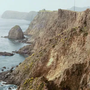 East Anacapa Island, South Coast, Alligator Rock
