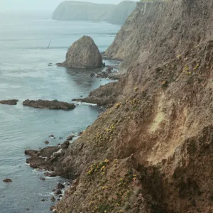 East Anacapa Island, South Coast, Alligator Rock