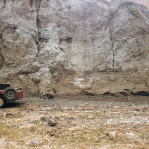 Fossil Log, La Sauces Canyon, Santa Cruz Island