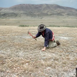 Cliff Smith, Forneys Flats, Santa Cruz Island