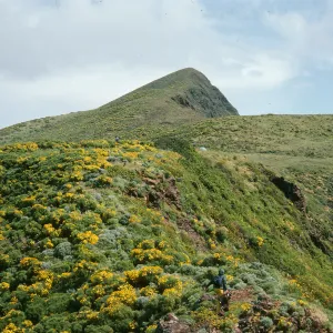 Looking east from just east of Rat Rock (at Summit Pk.), W. Anacapa Isl.