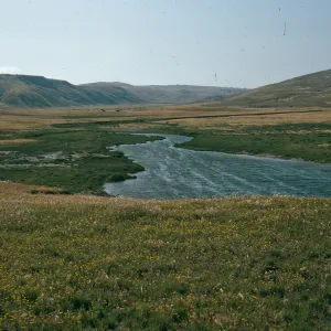 Marsh, mouth of old ranch horse cyn. Santa Rosa Island