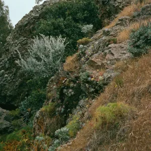 bluffs, Tinkers Canyon, Santa Cruz Island