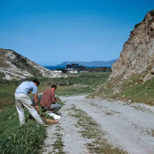 (Peter) Raven and (Robert) Ornduff, Canyon del Casa, Santa Rosa Island