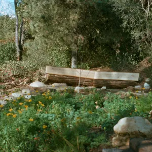 Meadow View Garden