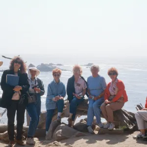Docent field trip to Point Lobos with Mary Carroll